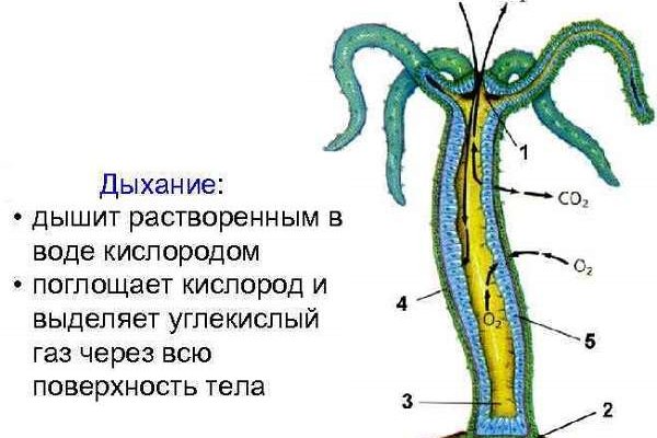 Кракен сайт с наркотиками