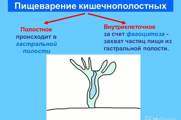 Кракен kr2web in