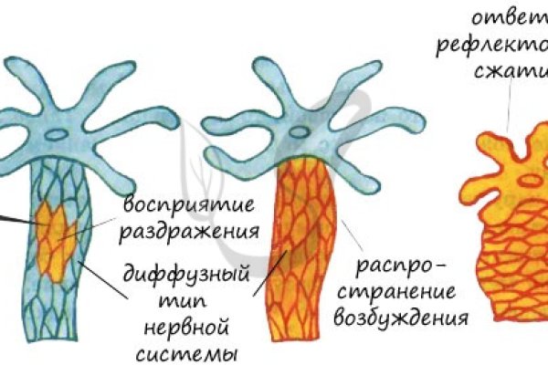Даркнет зеркало
