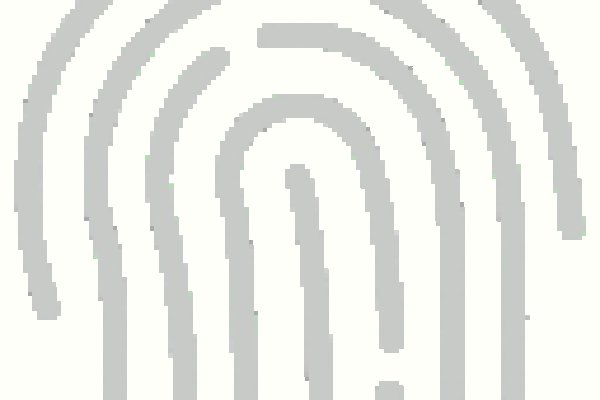 Что такое кракен в интернете