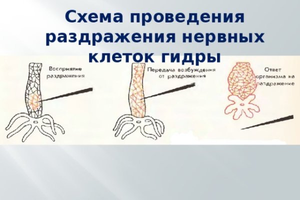 Кракен клир ссылка