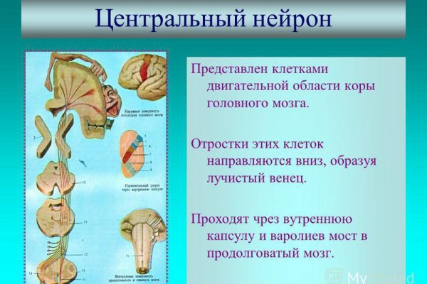 Кракен ссылка 2025