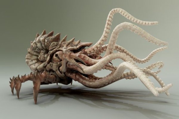 Kraken darknet ссылка тор